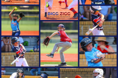 Road to the Show 2024 Baseball